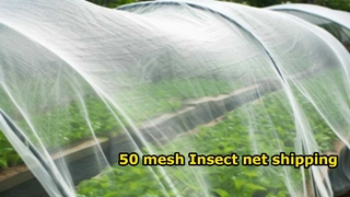 50mesh Insect net shipping video
