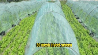 80mesh anti‑whitefly Insect screen