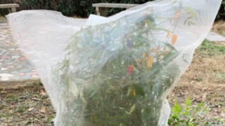 Garden net, Insect net, plastic window screen small roll video