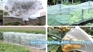 Tuingaas, Insectengaas, Kunststof raamscherm, Anti-insectennet
