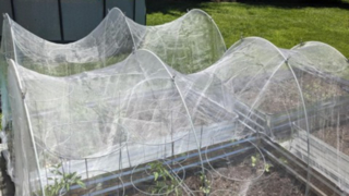 Garden Netting, Garden mesh cover, Insect Mesh Net, Anti Mosquito net