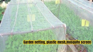 Garden netting , plastic mesh for garden protection, 10m width or other width we can offer