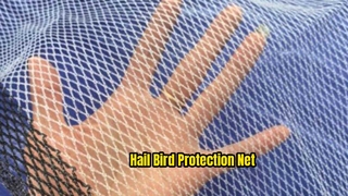 Hail Net,Bird Net ,White Hail Net, 0.8mmHail Net