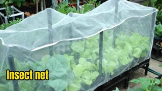 Insect Net manufacturing