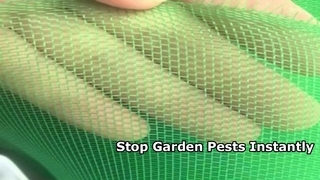 all kinds of insect net can make small roll as customers' request.