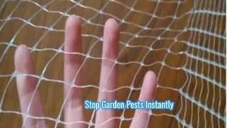 bird net , insect net, garden net, hail net