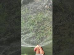 Insectennet, hor, tuingaas, kunststofgaas, raamhor
